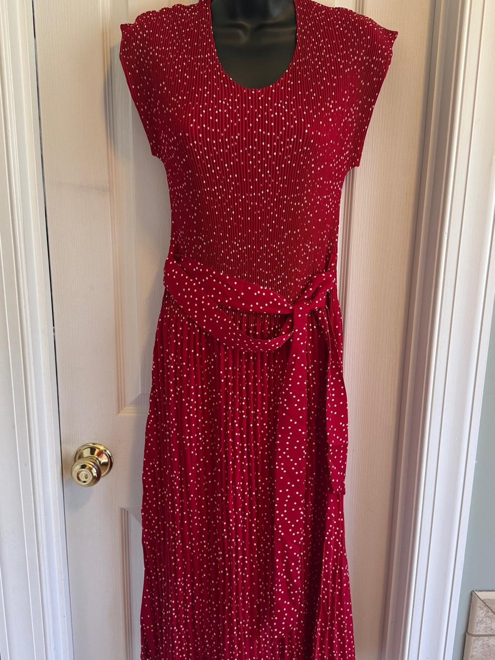 Kindred Red Polka Dot Cap-Sleeve Maxi Dress with Waist Tie